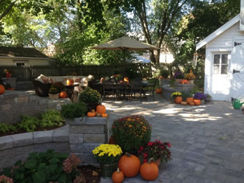 The backyard after the client added some decoration like pumpkins and umbrellas etc. 