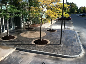 New landing with circlular paver patterns around the trees and new pavers for the parking areas. 