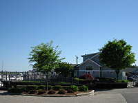 Commercial Landscape Maintenance