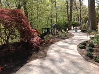 Walkway & Perennials