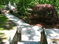 Walkway & Shrubs